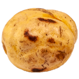 Ekspertiz aracı